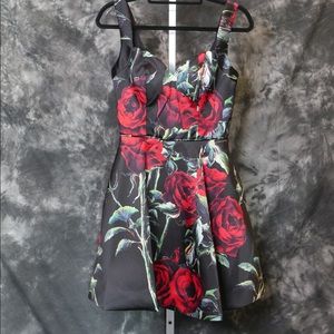 Abby Paris size 6 homecoming dress new with tags